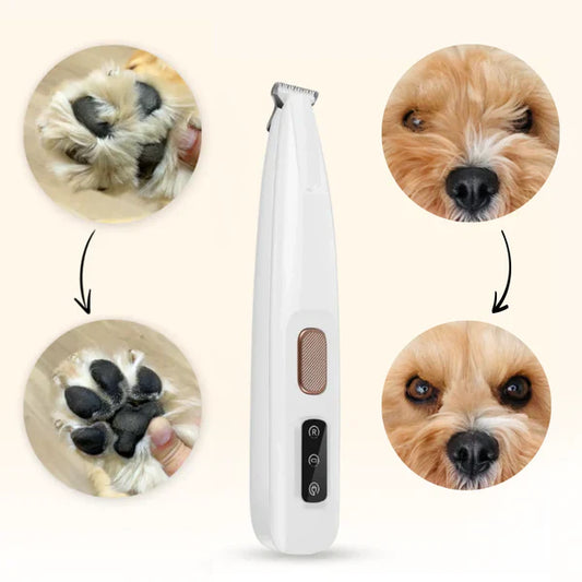 PawFresh™ – Groom with Love, Shine with Joy